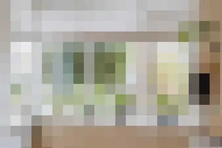 Mainelaan 55 Eindhoven thumbnail 6