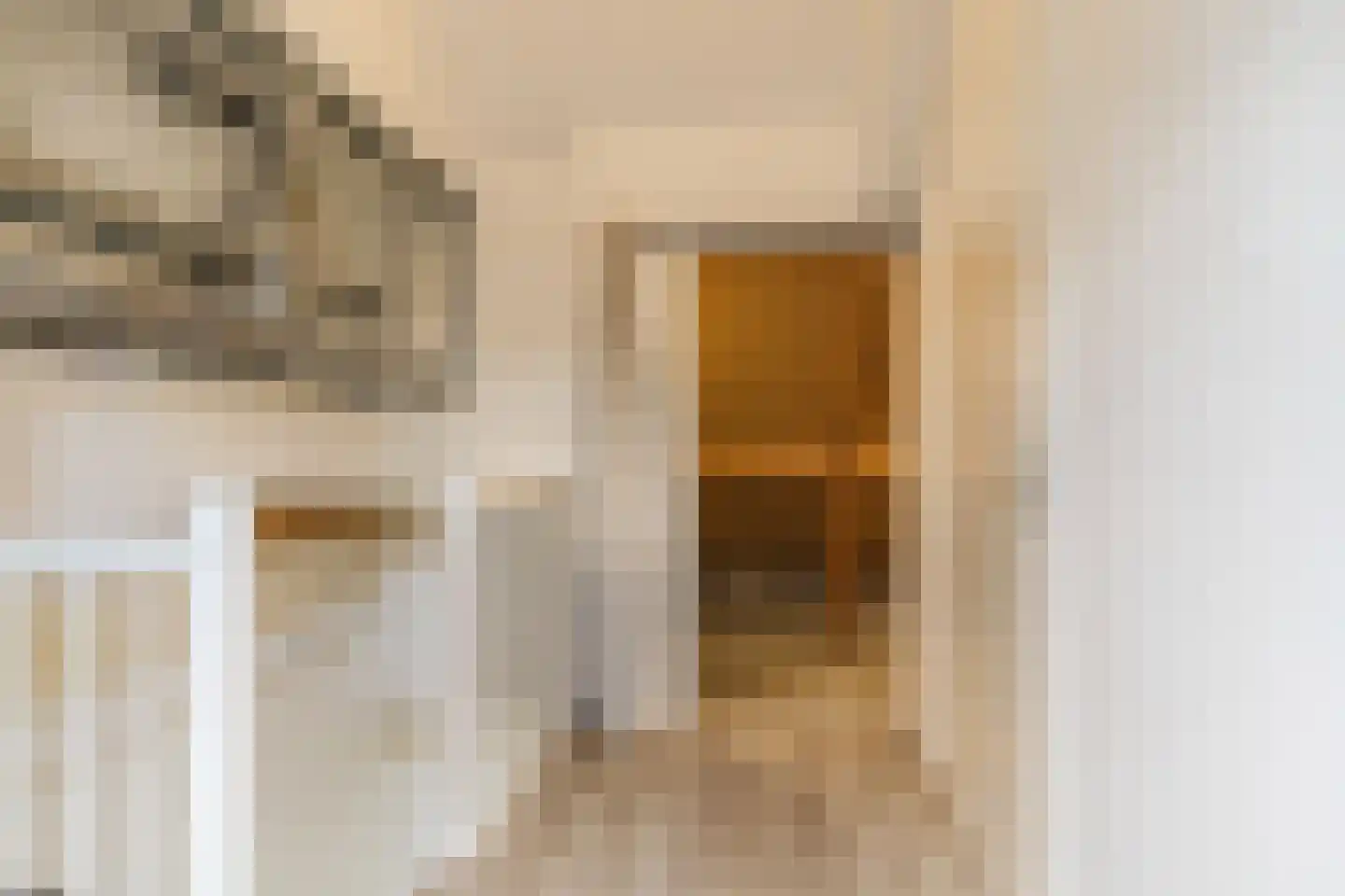 Mainelaan 76 Eindhoven thumbnail 35
