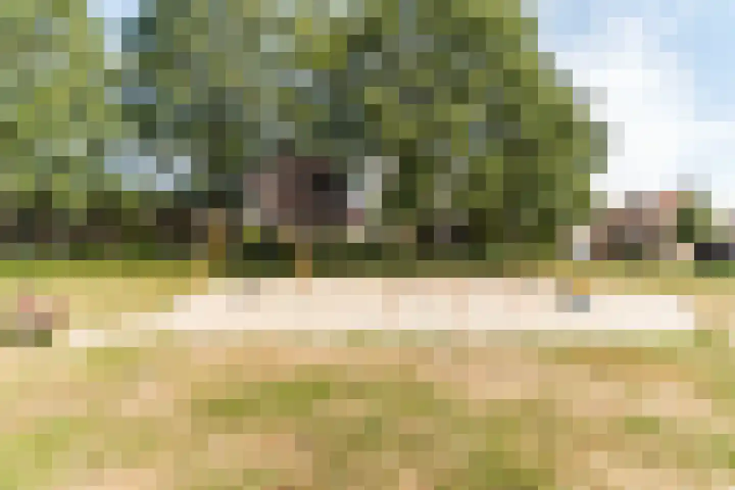 Mainelaan 76 Eindhoven thumbnail 49