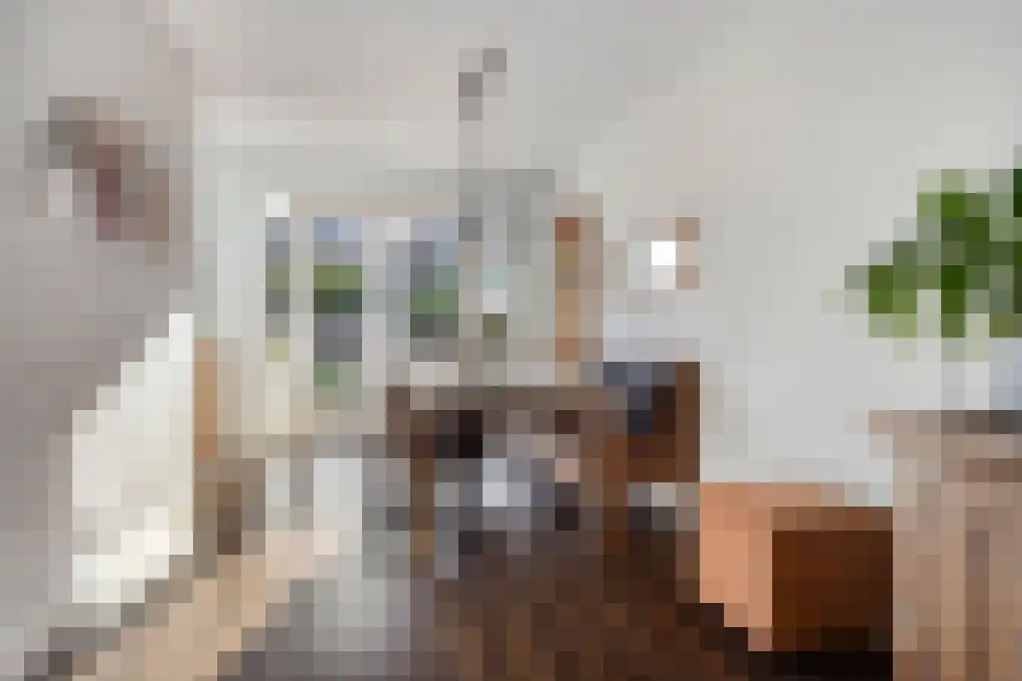 Mainelaan 82 Eindhoven thumbnail 14