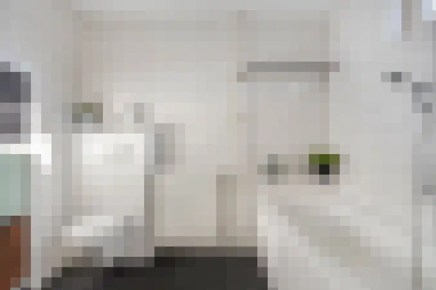 Mainelaan 82 Eindhoven thumbnail 24