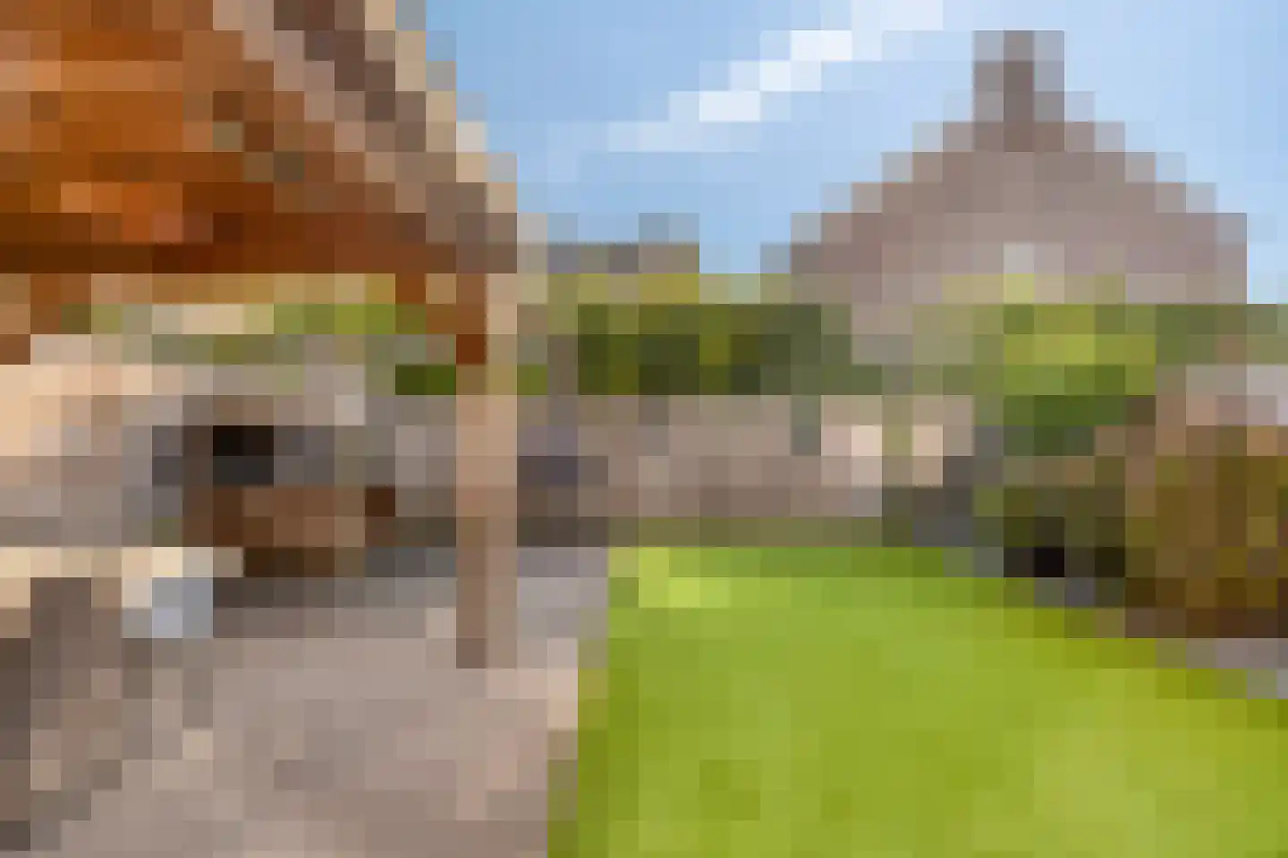 Mainelaan 82 Eindhoven thumbnail 36