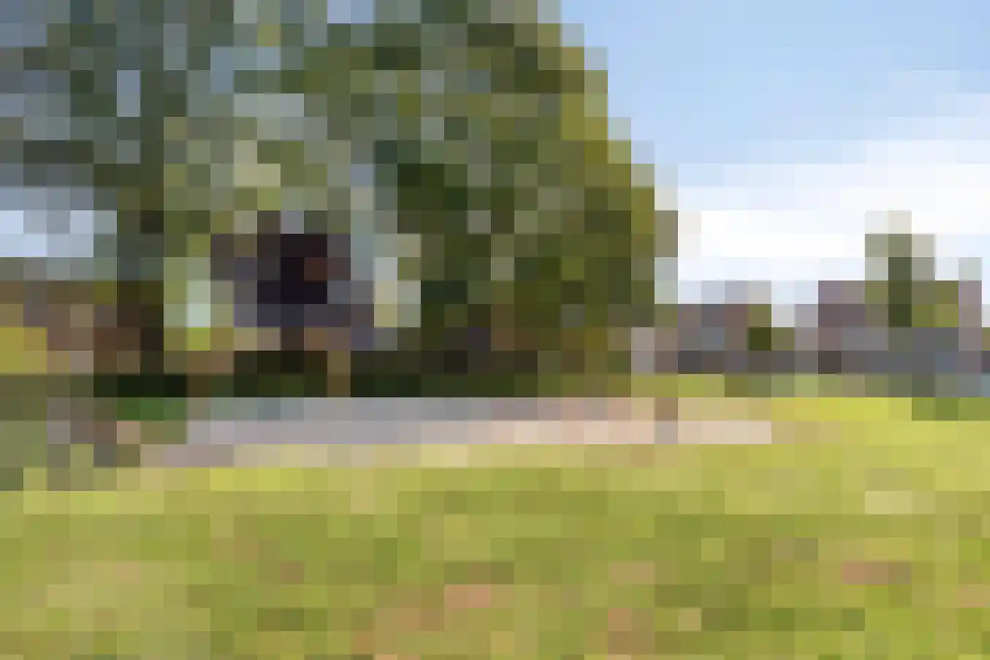 Mainelaan 82 Eindhoven thumbnail 41