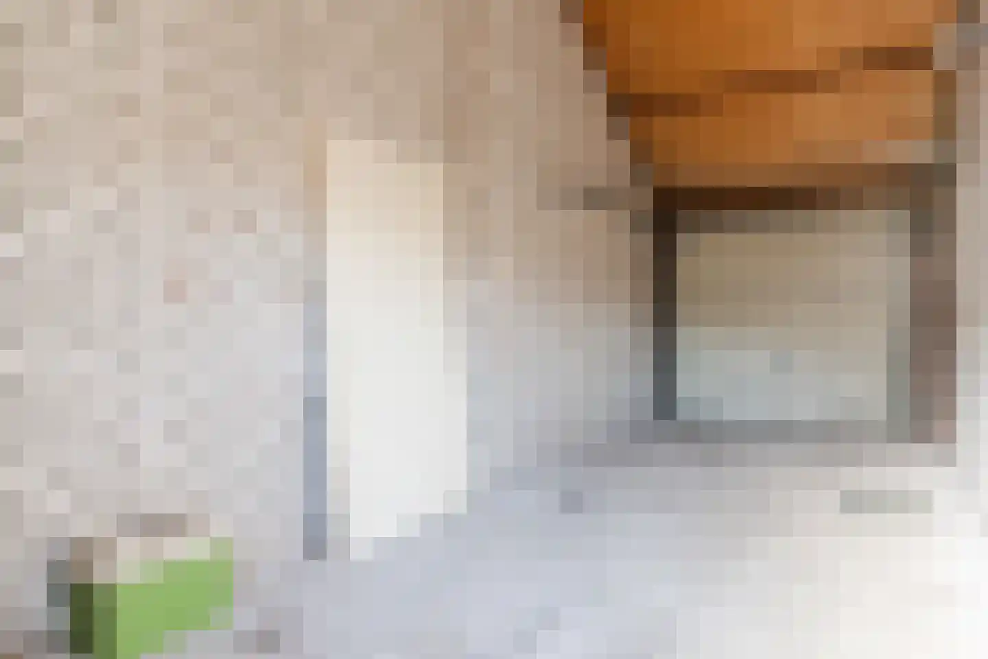 Mainelaan 84 Eindhoven thumbnail 26