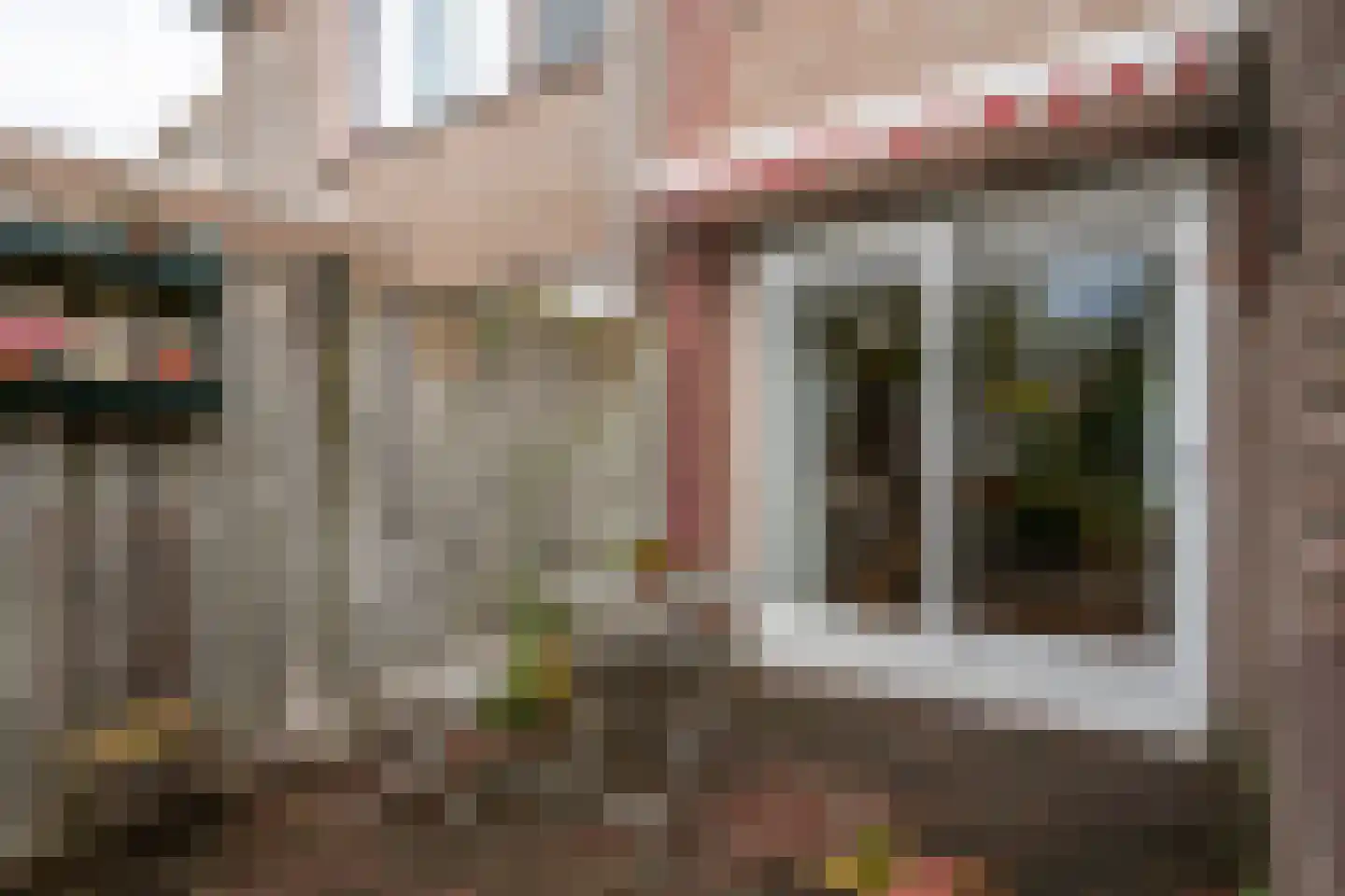 Mainelaan 85 Eindhoven thumbnail 37