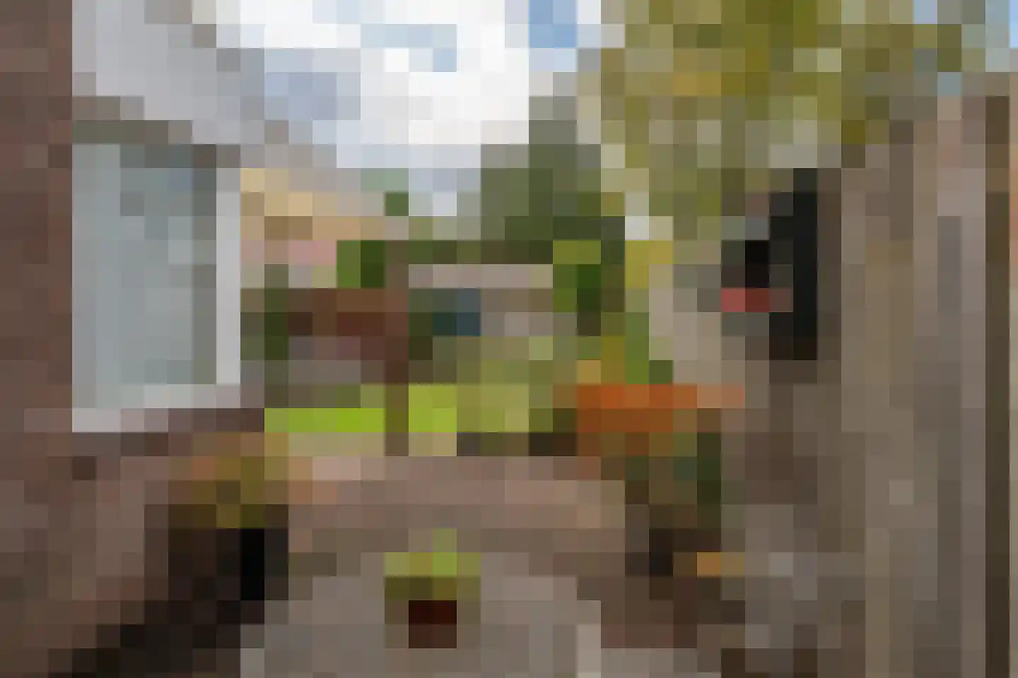 Mainelaan 85 Eindhoven thumbnail 38