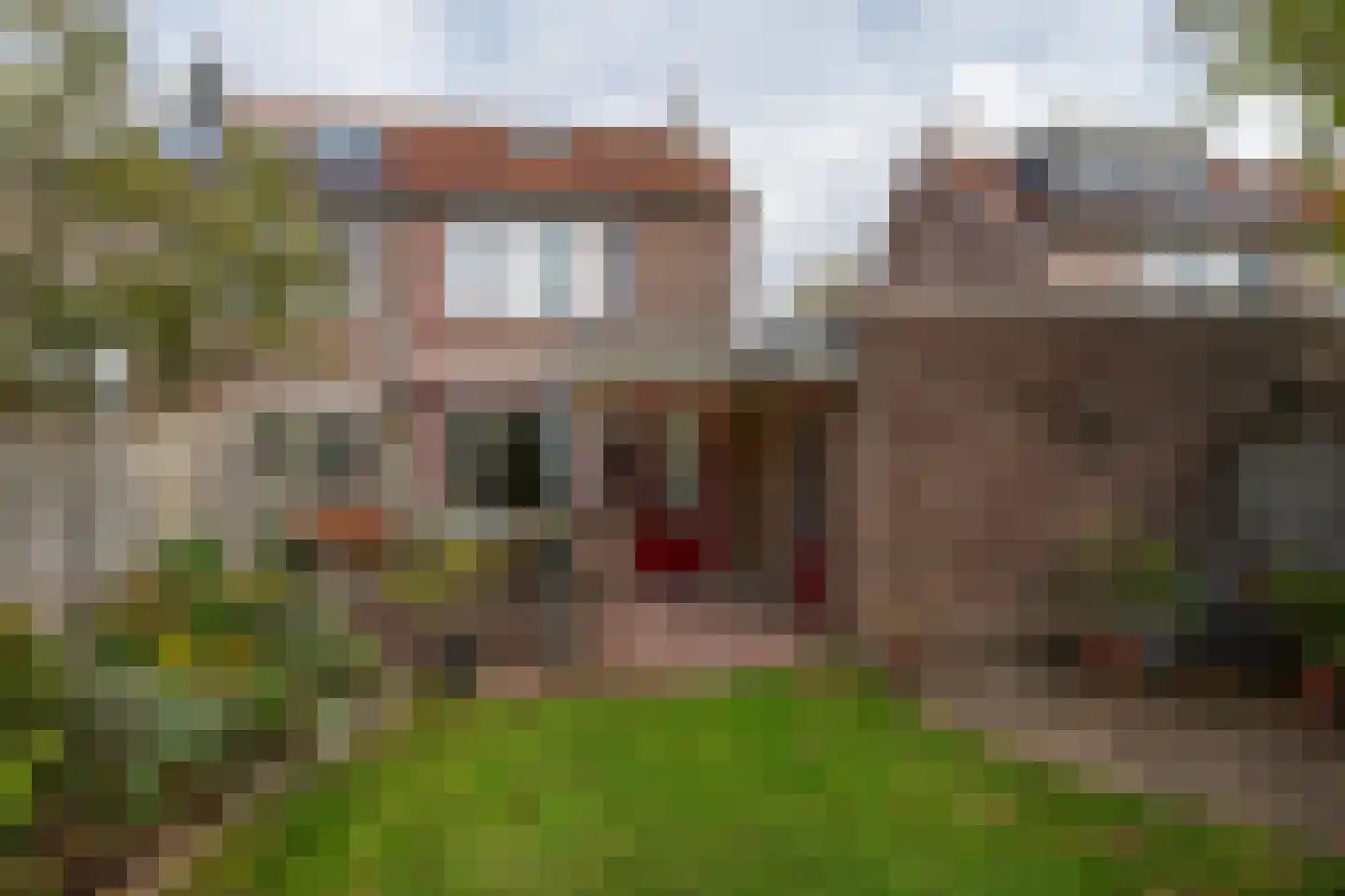 Mainelaan 85 Eindhoven thumbnail 41