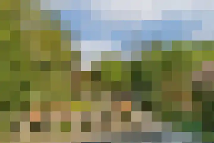 Mainstraat 11 Spijkenisse thumbnail 27