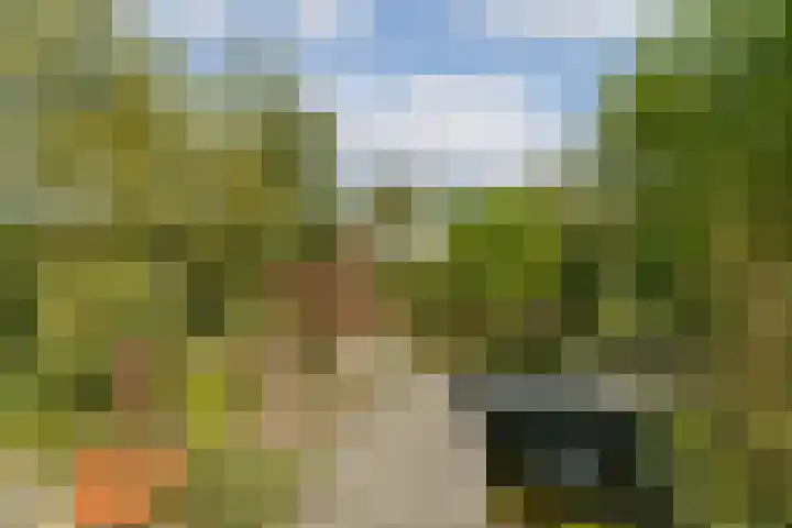 Mainstraat 11 Spijkenisse thumbnail 29