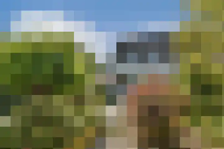 Mainstraat 11 Spijkenisse thumbnail 30