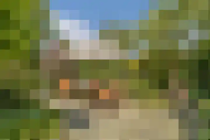 Mainstraat 11 Spijkenisse thumbnail 5