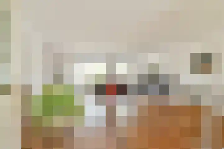 Mainstraat 11 Spijkenisse thumbnail 9