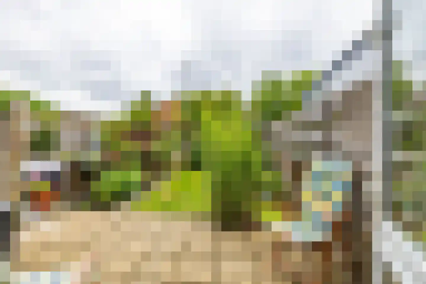 Mainstraat 14 Assen thumbnail 35