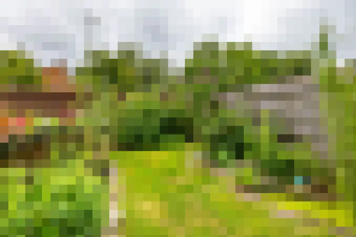 Mainstraat 14 Assen thumbnail 5