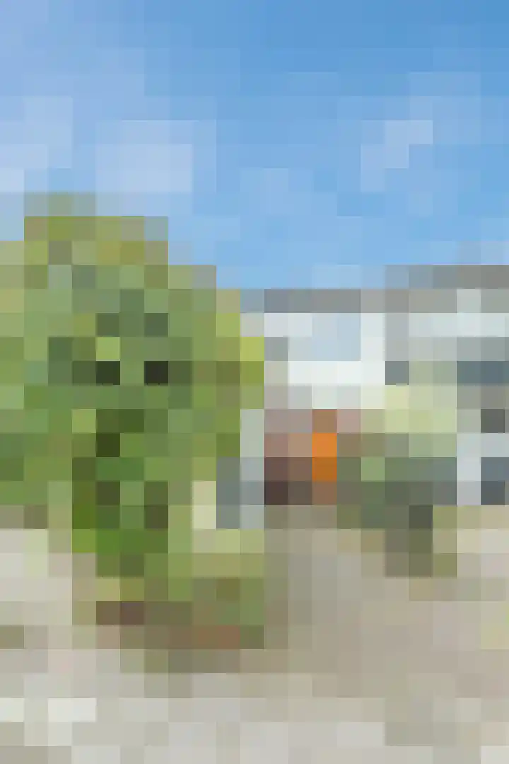Mainstraat 28 Assen thumbnail 36