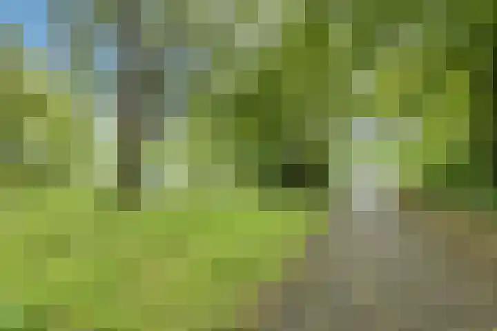 Mainstraat 28 Assen thumbnail 43