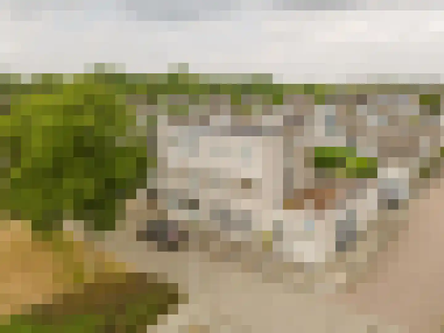 Mainstraat 41 Spijkenisse thumbnail 11