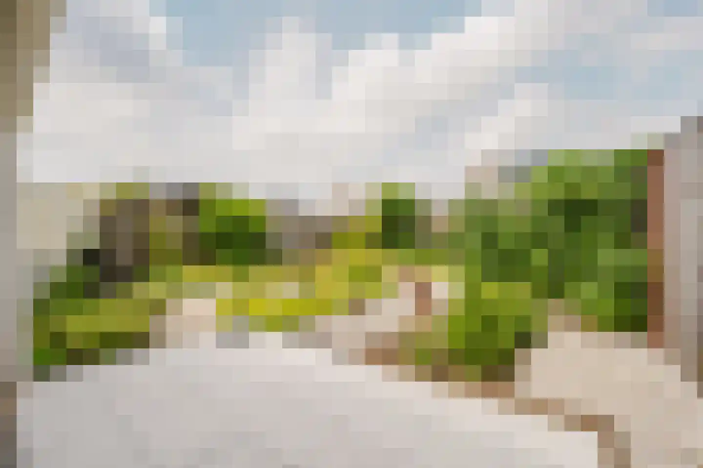 Mainstraat 41 Spijkenisse thumbnail 28