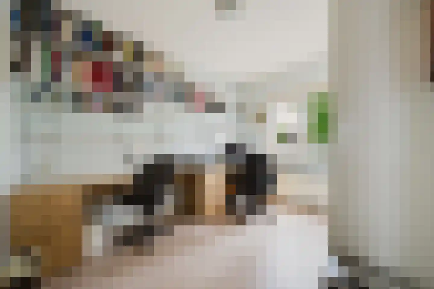 Mainstraat 41 Spijkenisse thumbnail 40