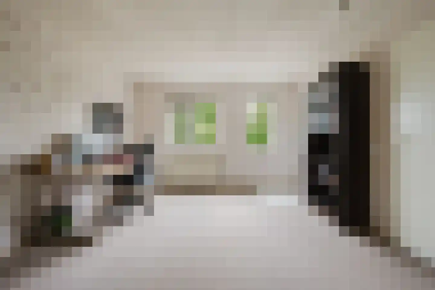 Mainstraat 41 Spijkenisse thumbnail 45