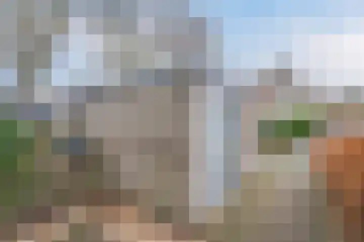 Mainstraat 6 Assen thumbnail 9