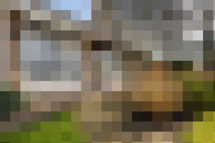 Maire Hofstedelaan 13 Maarssen thumbnail 37