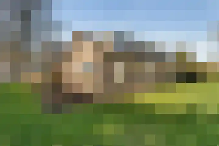 Maire Hofstedelaan 13 Maarssen thumbnail 38
