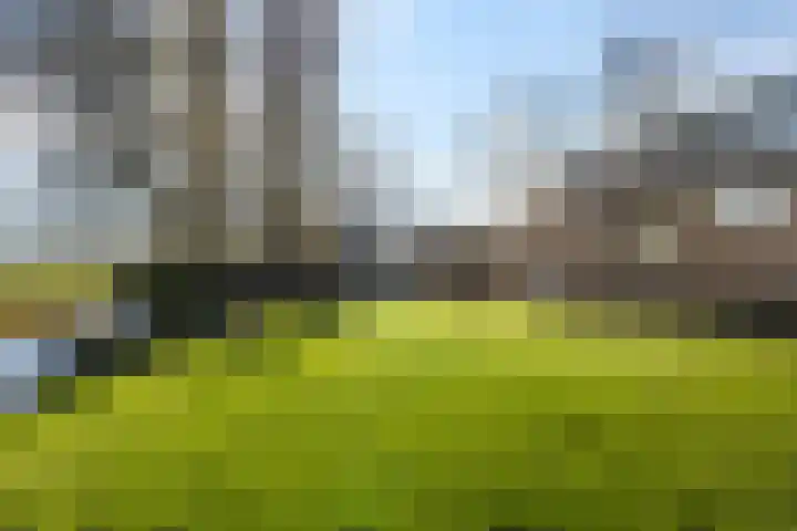 Maire Hofstedelaan 13 Maarssen thumbnail 40