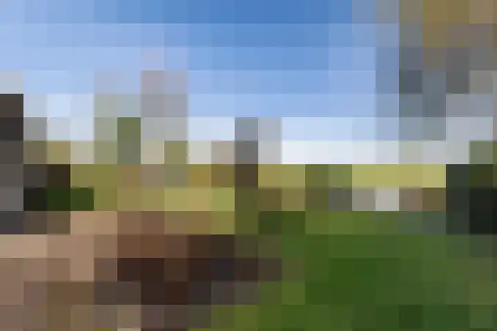 Maire Hofstedelaan 13 Maarssen thumbnail 41