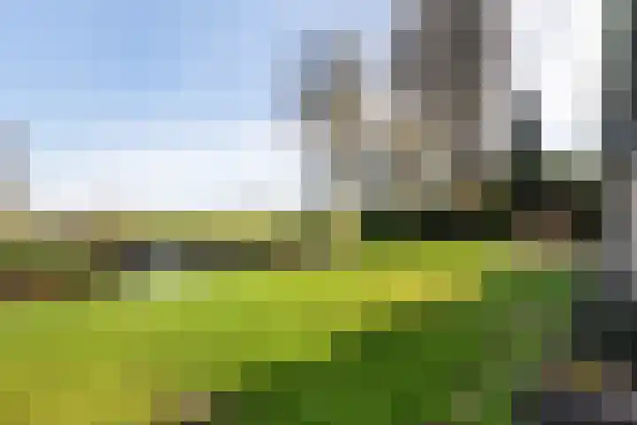 Maire Hofstedelaan 13 Maarssen thumbnail 42