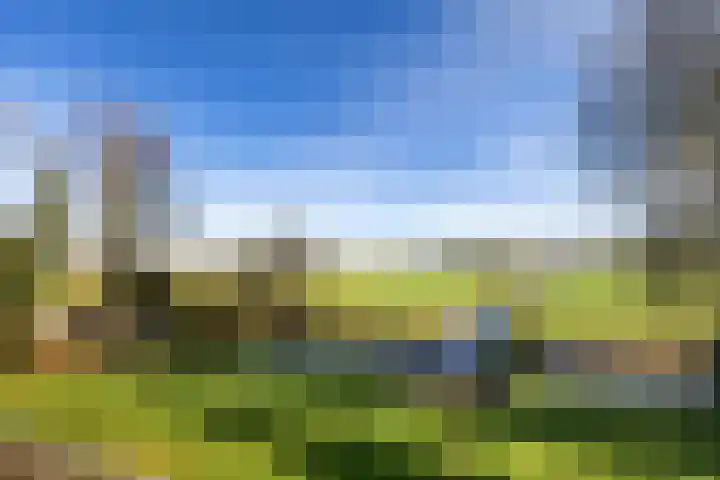 Maire Hofstedelaan 13 Maarssen thumbnail 7