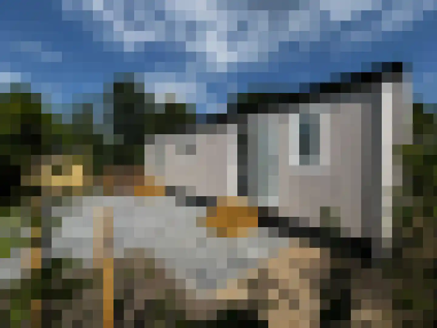 Maireweg 10 C25 Burgh-Haamstede thumbnail 12