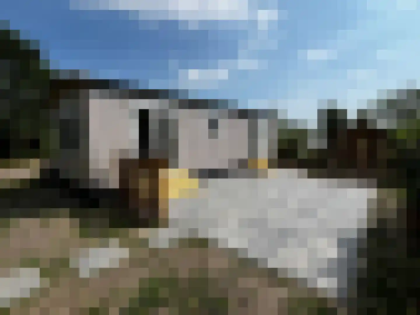 Maireweg 10 C25 Burgh-Haamstede foto 2