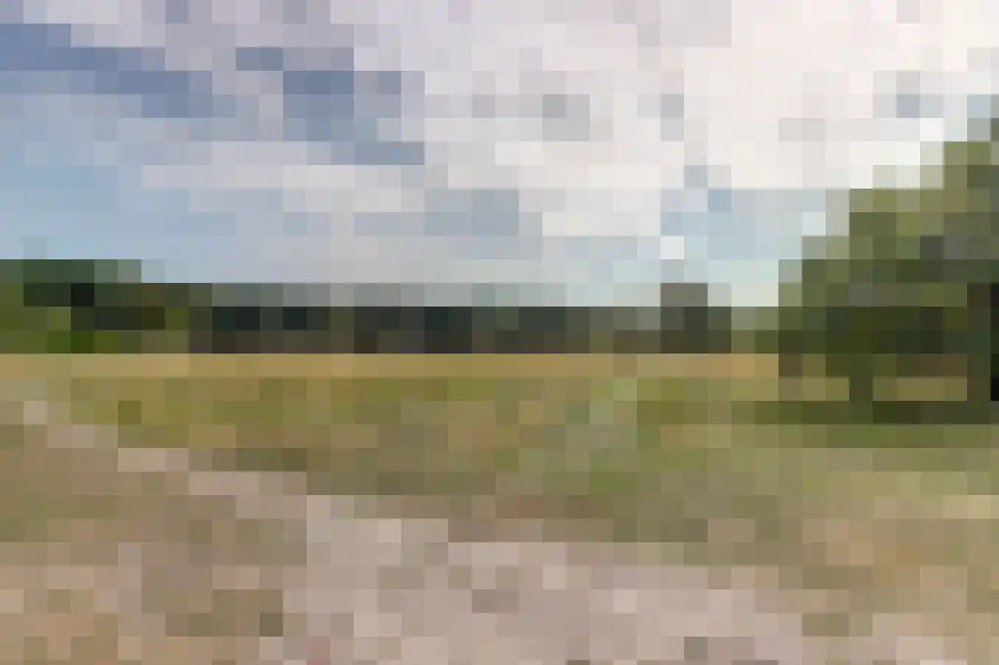Maireweg 16 0069 Burgh-Haamstede thumbnail 31
