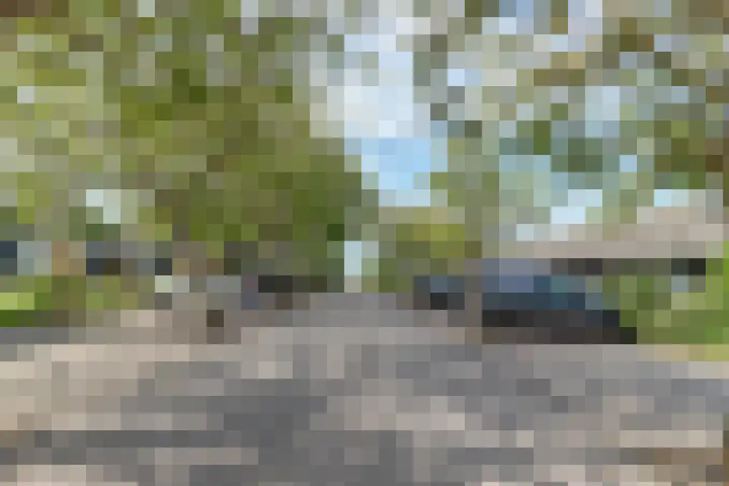 Maireweg 16 0069 Burgh-Haamstede thumbnail 33