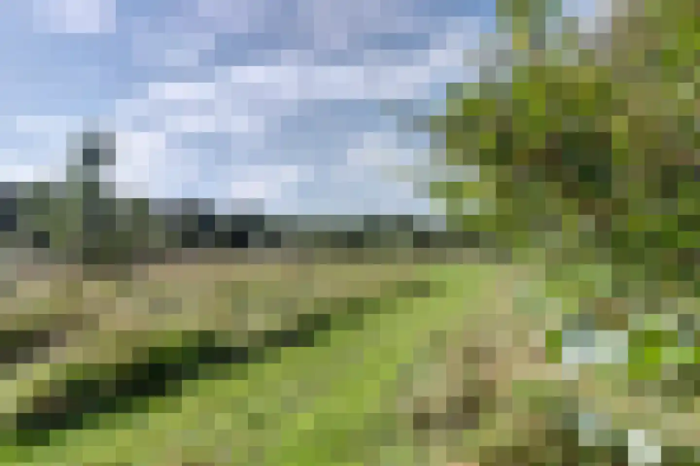 Maireweg 16 0069 Burgh-Haamstede thumbnail 36