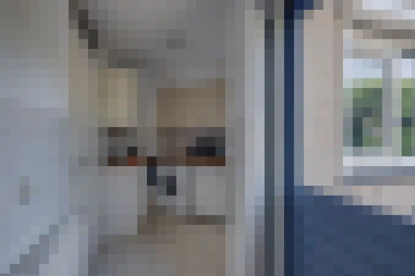 Maïs 8 Ruurlo thumbnail 15