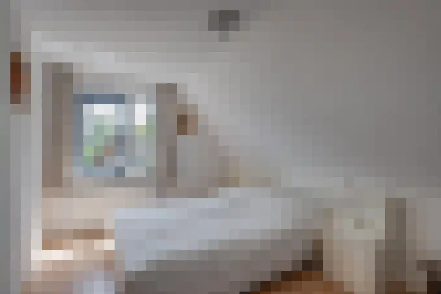 Maïs 8 Ruurlo thumbnail 21