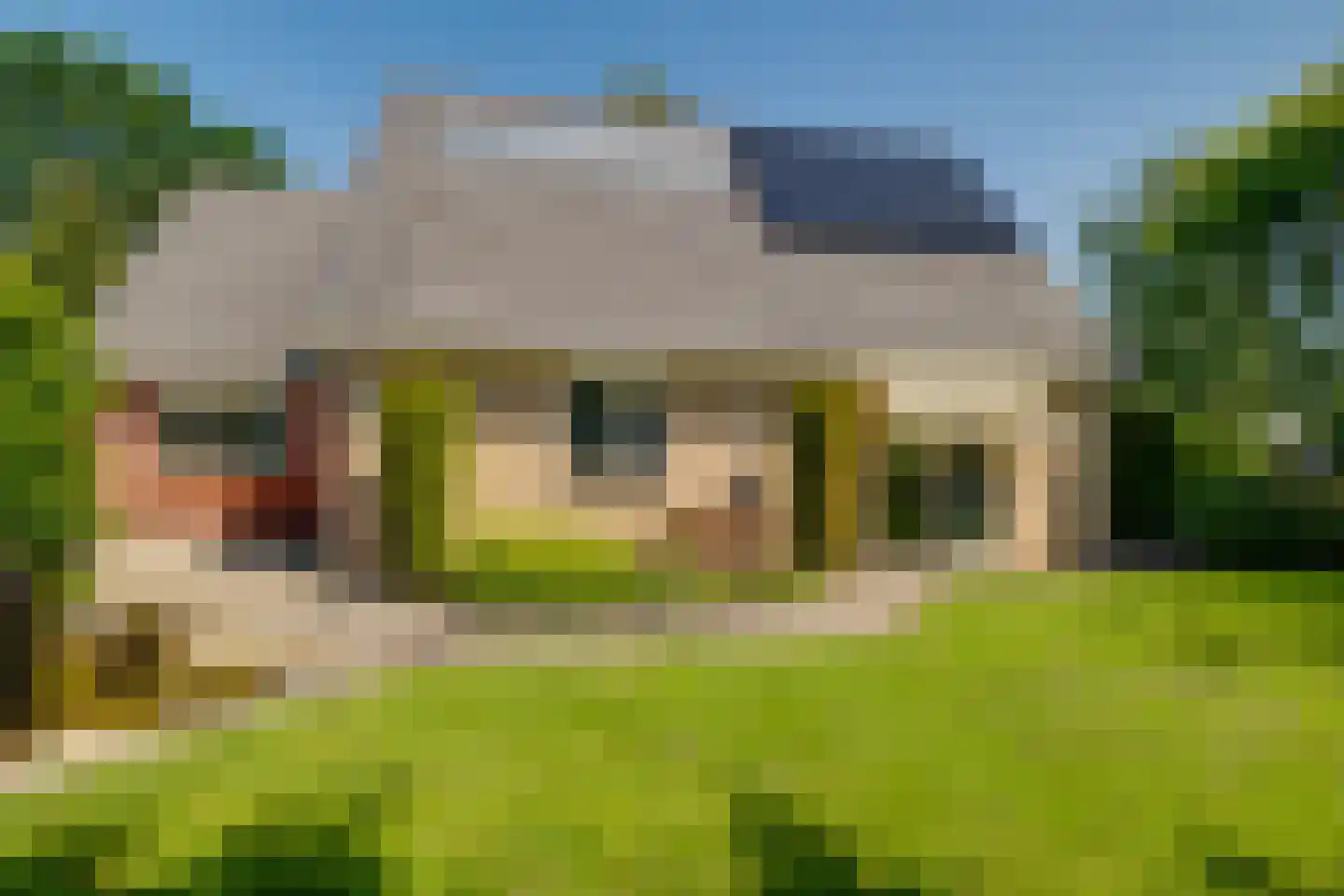 Maïs 8 Ruurlo thumbnail 25