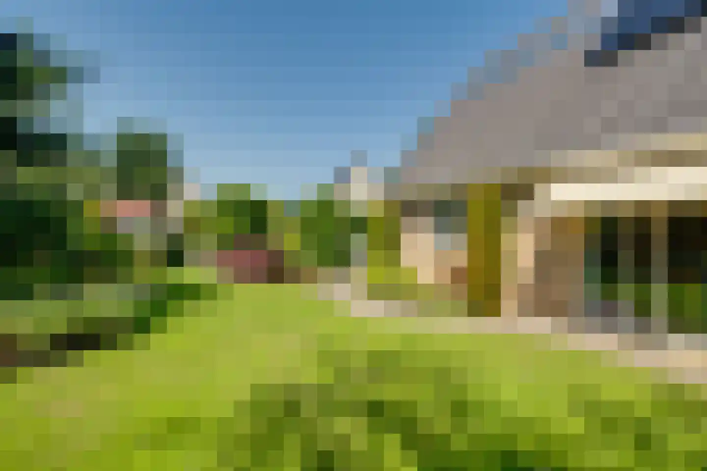 Maïs 8 Ruurlo thumbnail 26