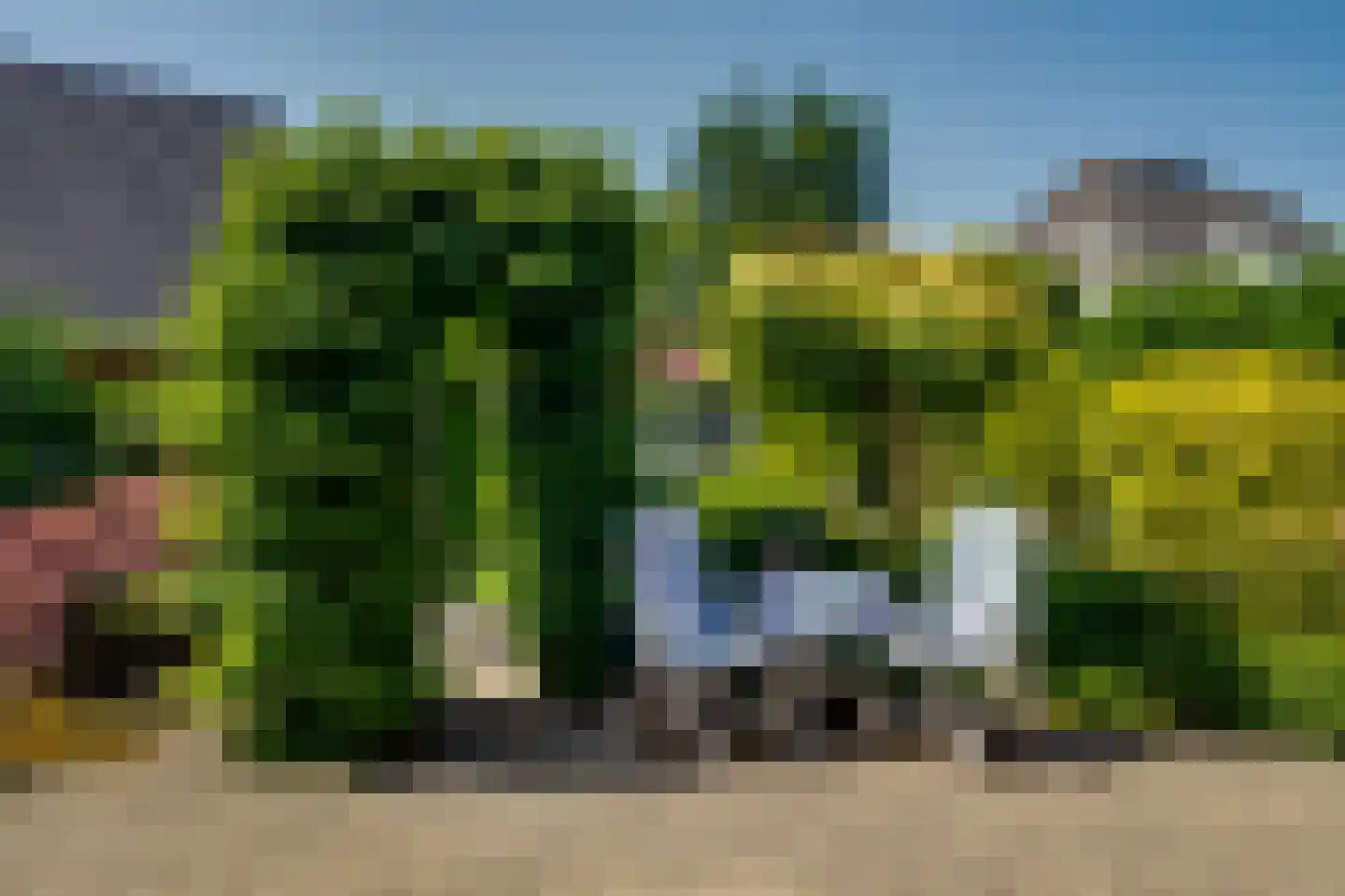 Maïs 8 Ruurlo thumbnail 28