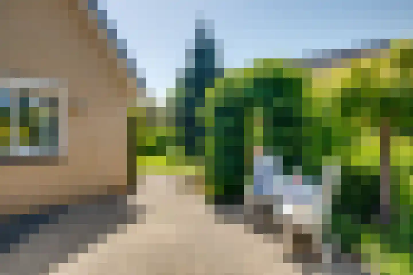 Maïs 8 Ruurlo thumbnail 29