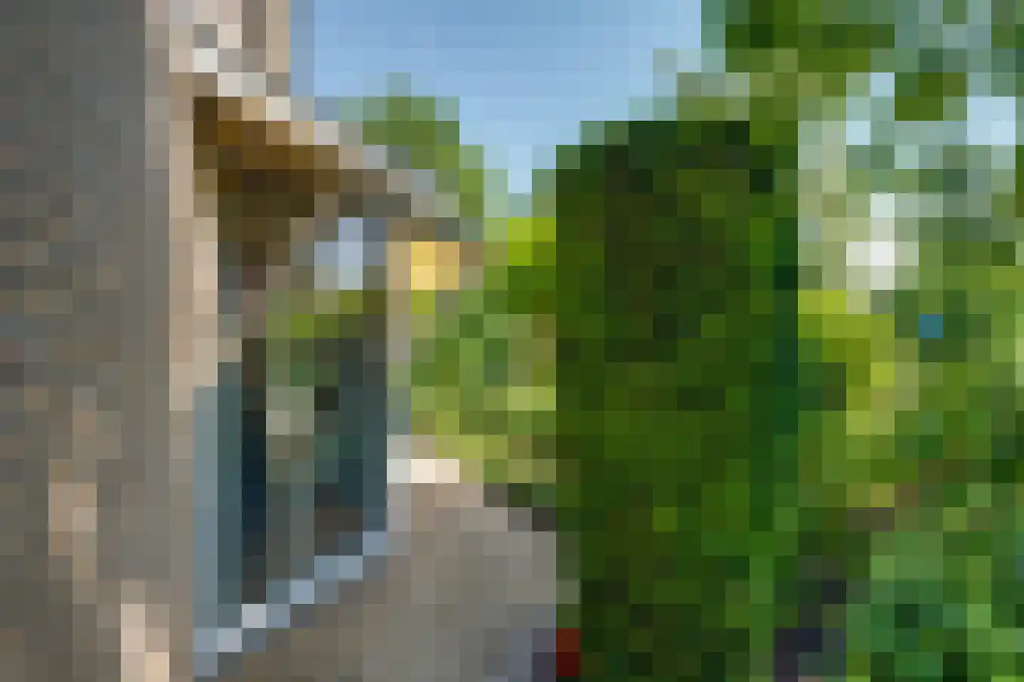 Maïs 8 Ruurlo thumbnail 30