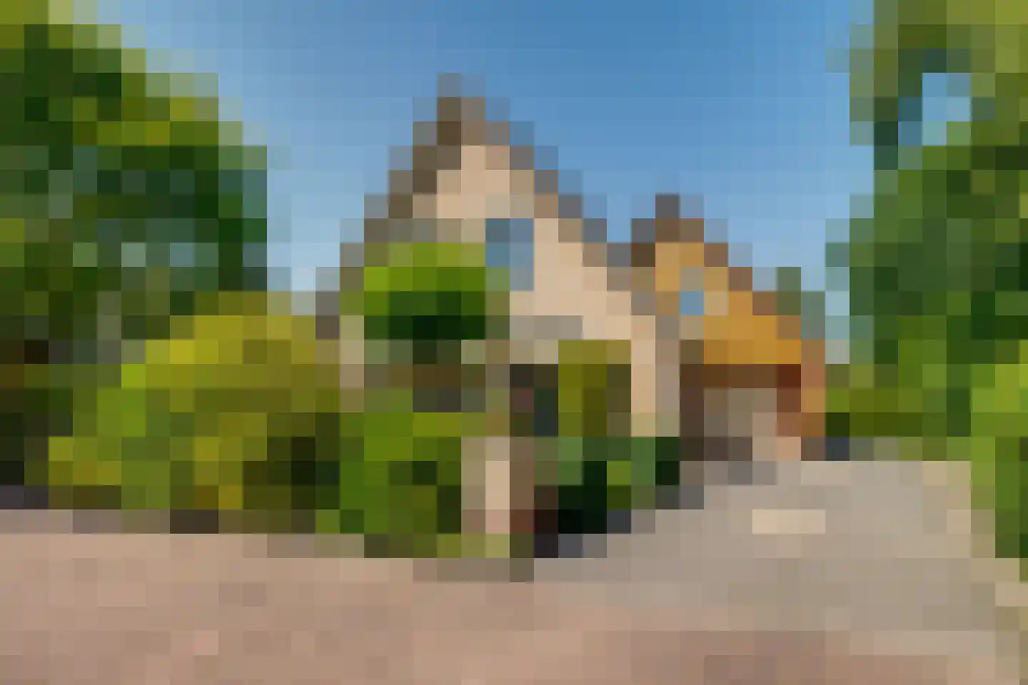 Maïs 8 Ruurlo thumbnail 32