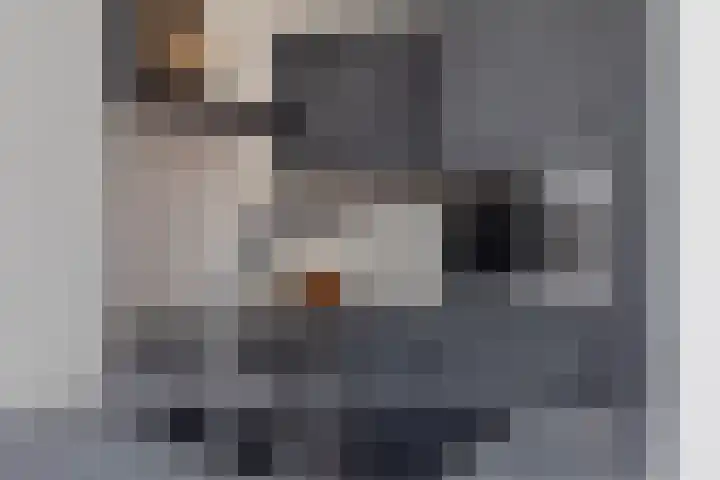Maisakker 15 Arnemuiden thumbnail 12