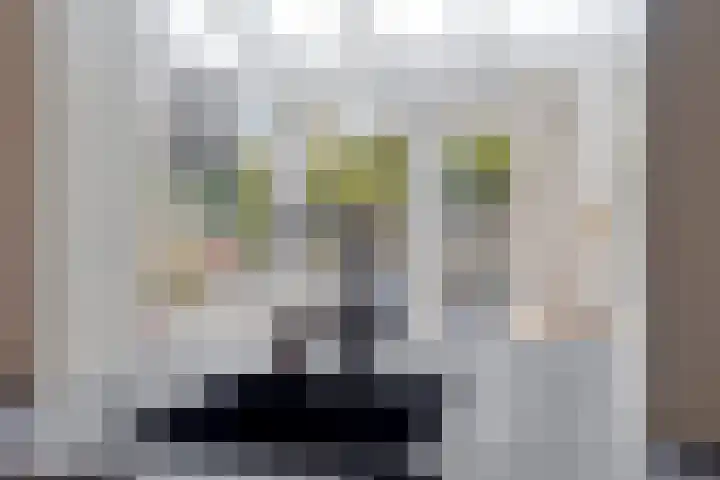Maisakker 15 Arnemuiden thumbnail 13