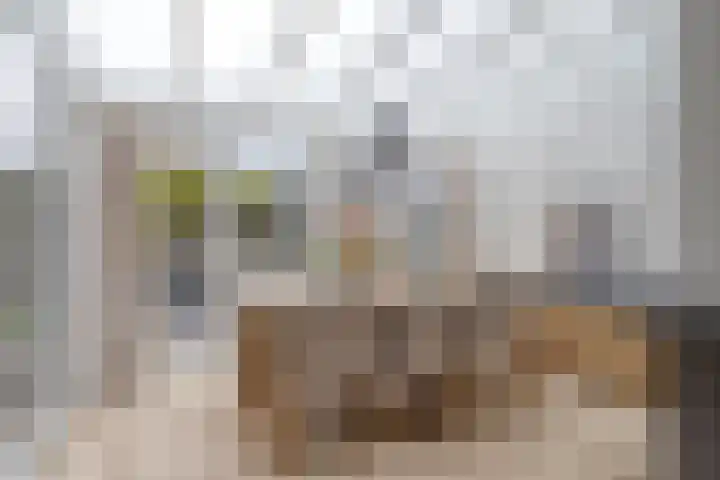 Maisakker 15 Arnemuiden thumbnail 15