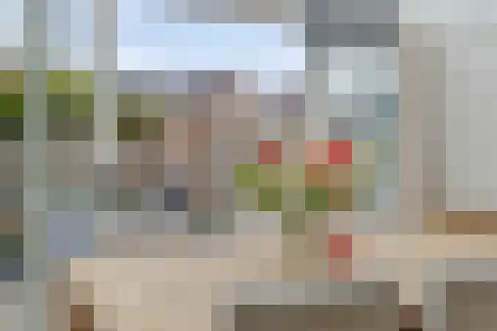 Maisakker 15 Arnemuiden thumbnail 16