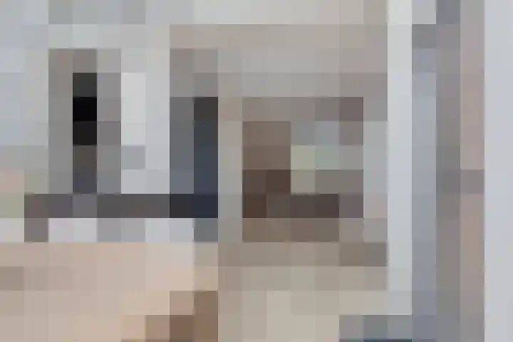Maisakker 15 Arnemuiden thumbnail 17