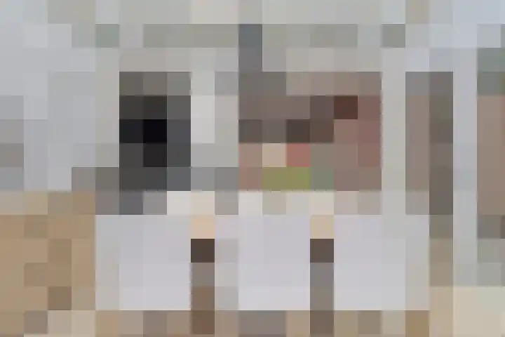 Maisakker 15 Arnemuiden thumbnail 18